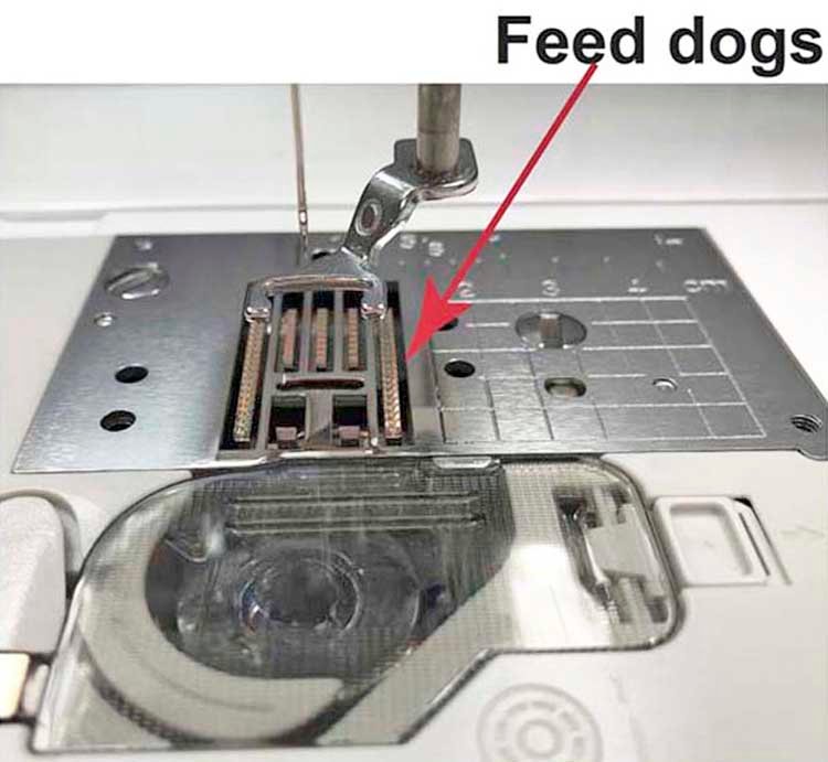 Feed dogs on a sewing machine