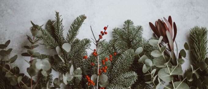 Top 10 Christmas Gifts for Quilters and Machine Embroiderers
