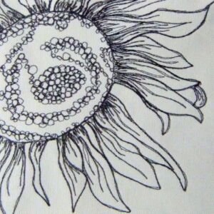 TSIA No 1 Sunflower 1