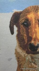 Best Friend | Deborah Wirsu