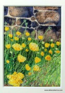 Buttercups in a rural churchyard | Deborah Wirsu