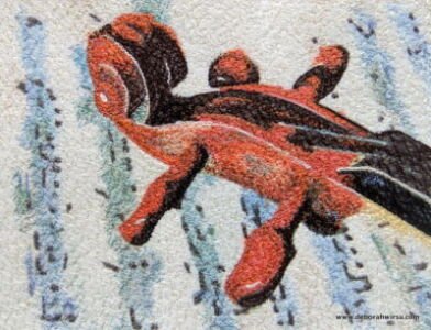 Viola | Deborah Wirsu