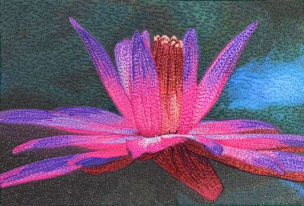 No 91 - Waterlily Pirouette